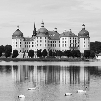 Schloss Moritzburg, Restaurierung der Ledertapeten, Leipzig