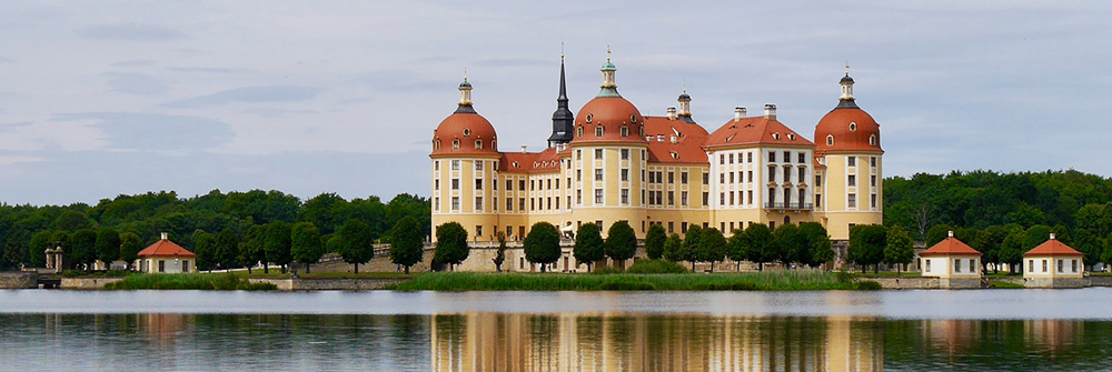 Schloss Moritzburg bei Dresden, Konservierung und Restaurierung der Ledertapeten